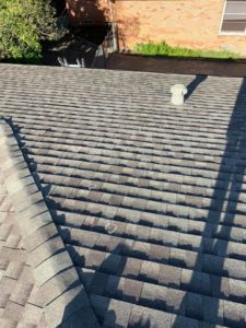 Asphalt Shingle roof